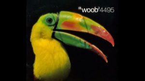 Listen to Hear  ::  Woob @ Das Baumhaus Berlin | Berlin | Berlin | Germany