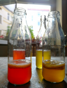 Workshop: Kombucha