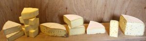 «Von der Milch zum Käse» – Selber Käse machen (Workshop)